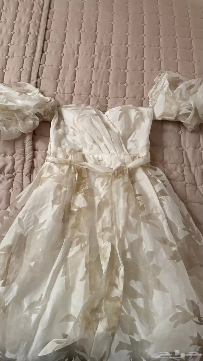 فساتين سهره راقيه و استخدام مره وحده ونظيفه 1