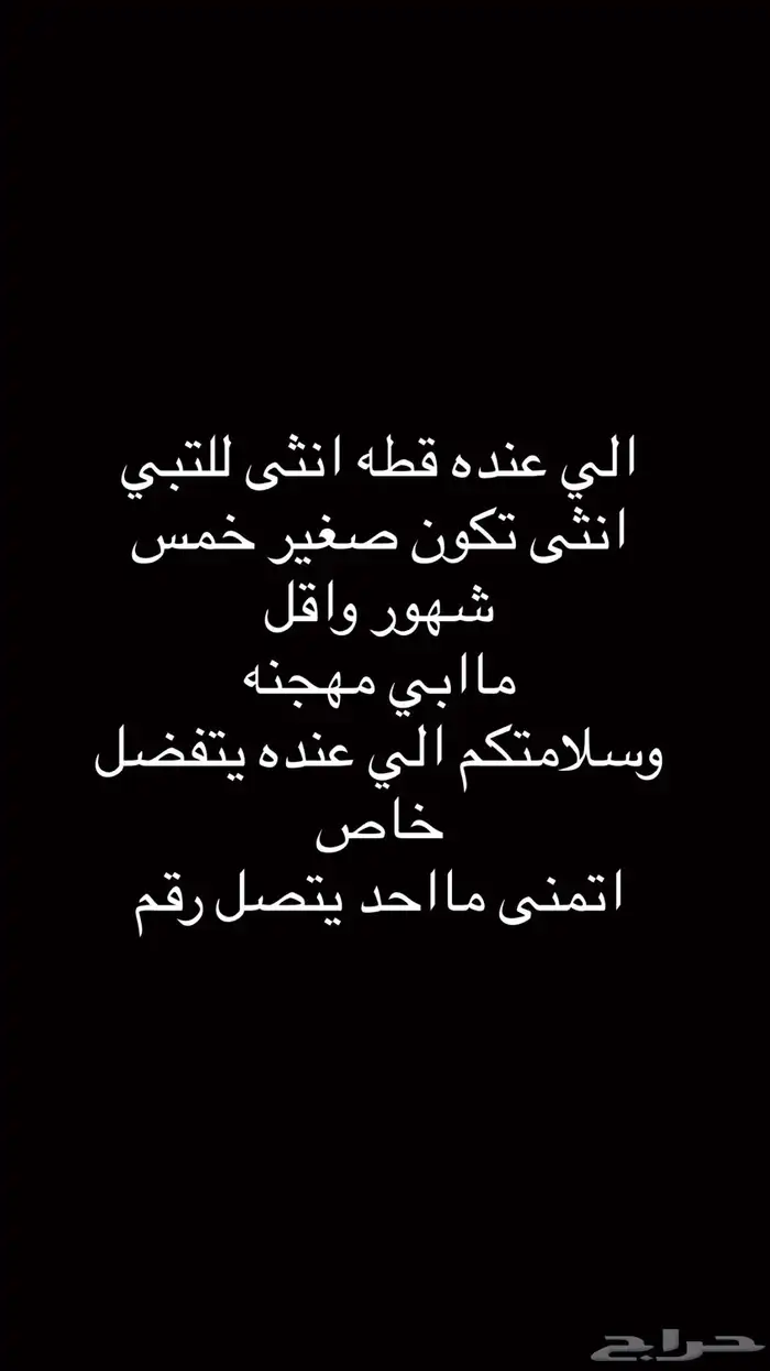 ابي قطه للتبني انثى 0