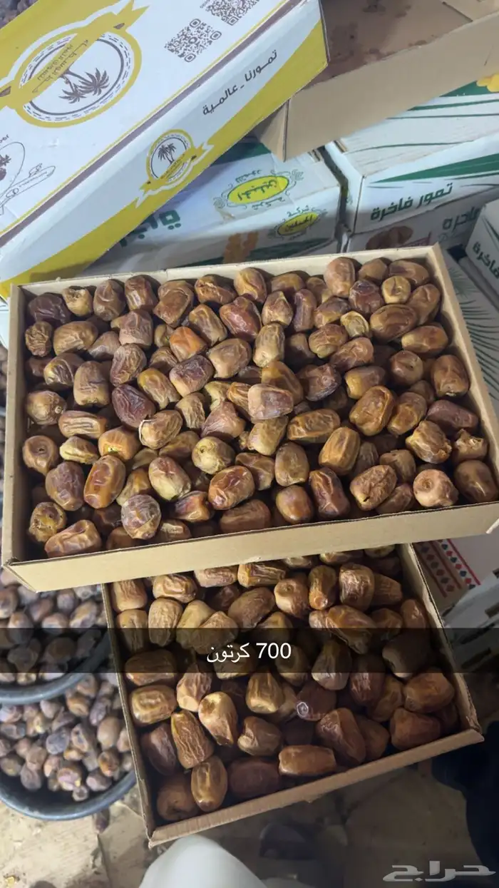 مفتل رقم 2 0