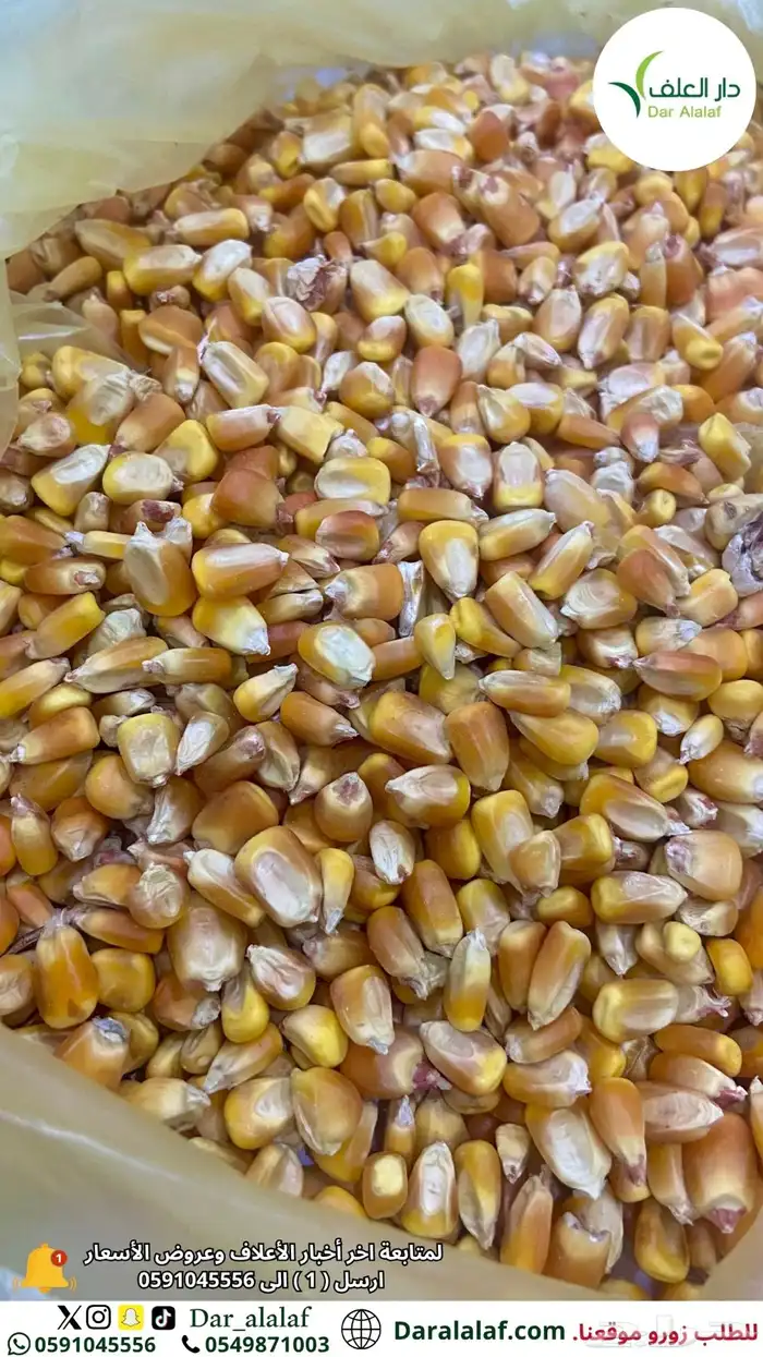 ذره صفراء حب 1