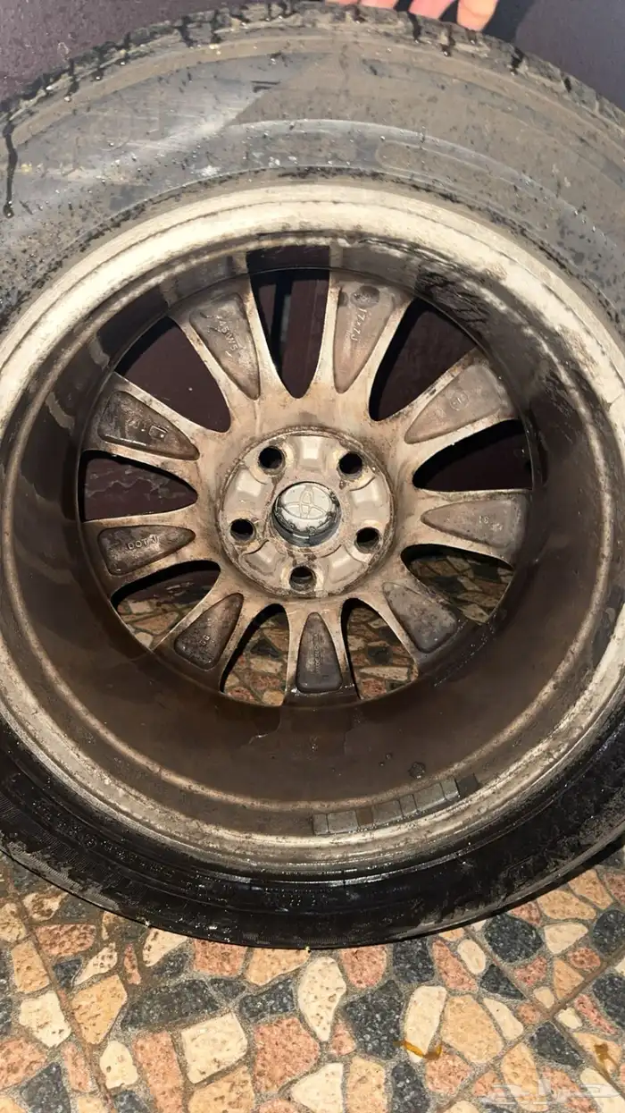 جنوط اوريون 1