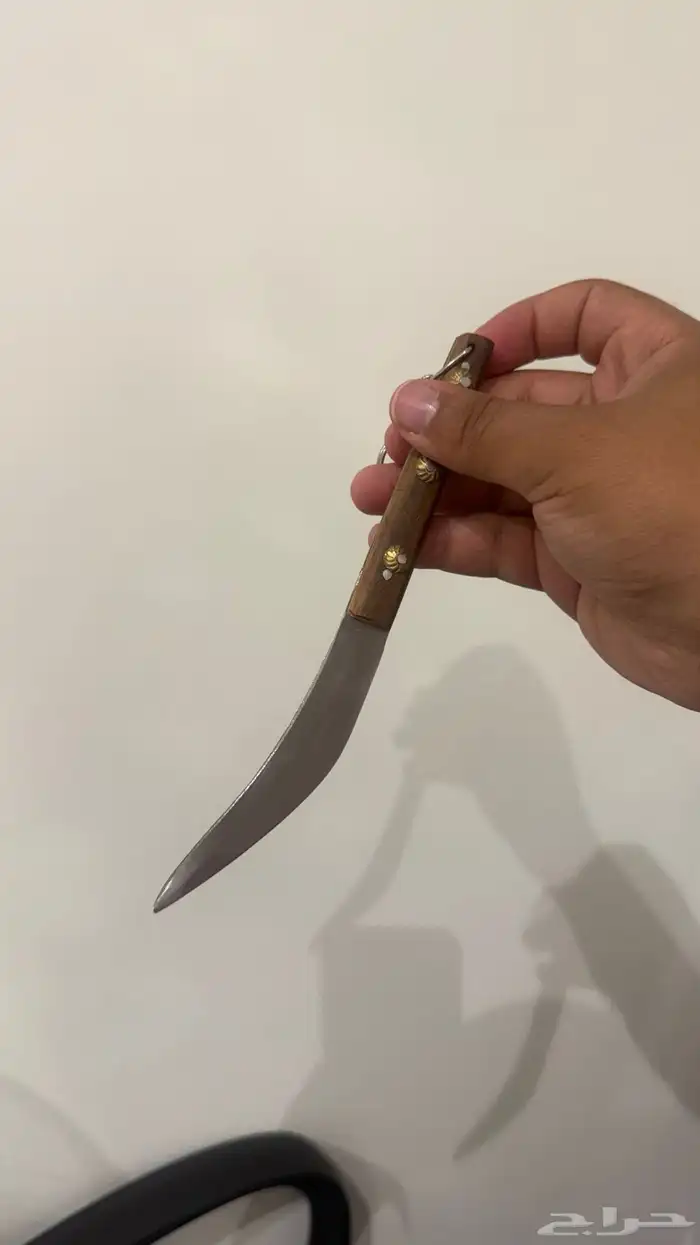 جنبيه كفو 6