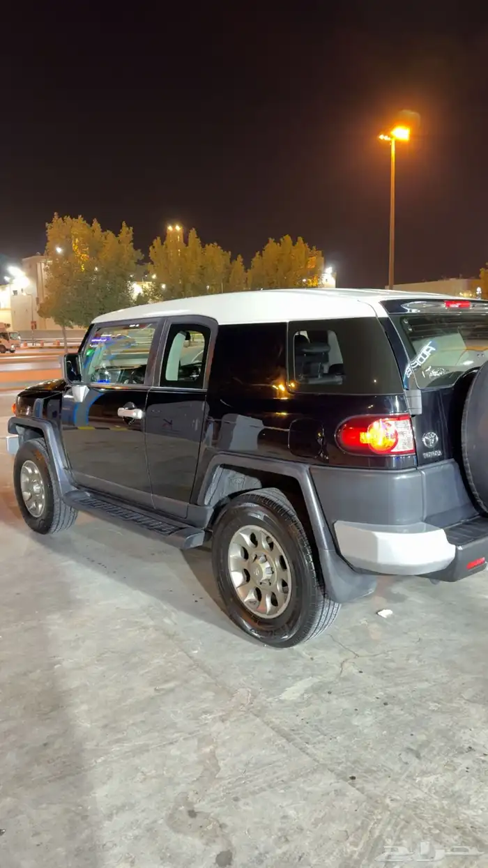 أفجي 2012 4