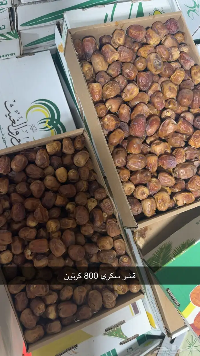 قشر سكري 0