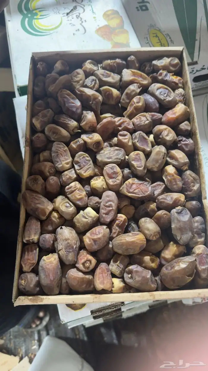 قشر داحسيه 0