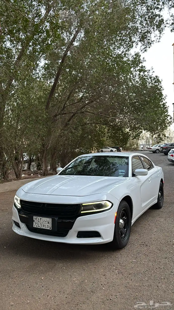 دودج بوليسي 2019 3
