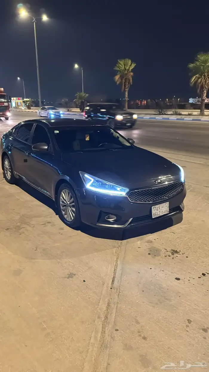 كادينزا 2018 26