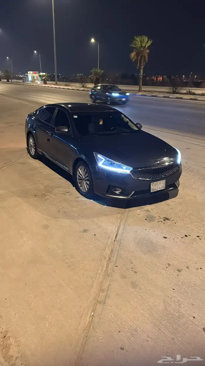 كادينزا 2018 25