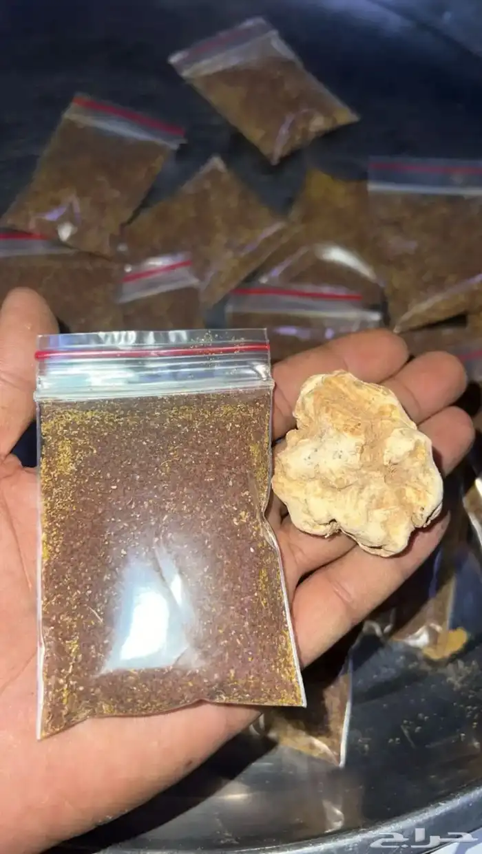 بذور الرقروق المنبتة للكمأه 2