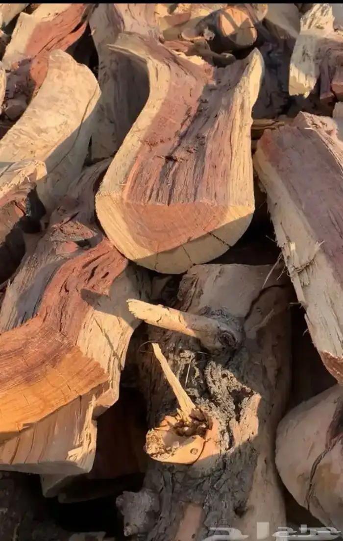 حطب مستورد حطب اصلي ويابس 12
