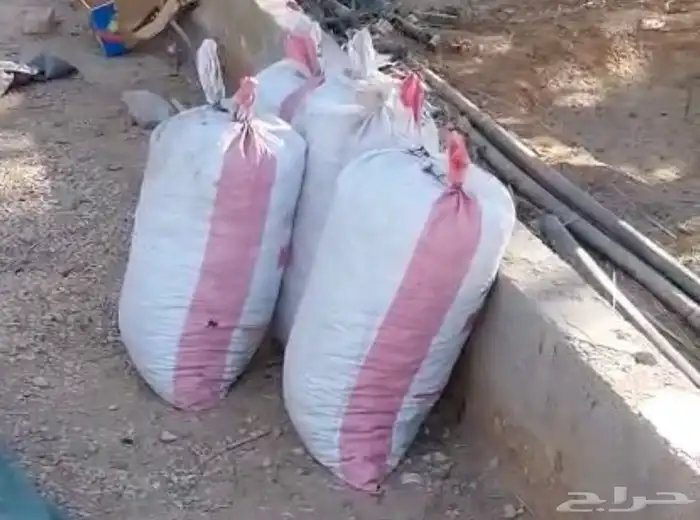 للبيع تمر علف 1