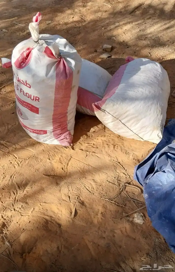 للبيع تمر علف 2