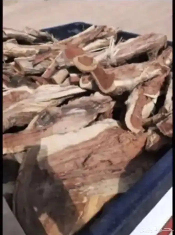 حطب مستورد حطب اصلي ويابس 2