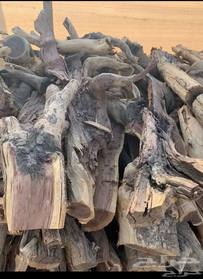 حطب مستورد حطب اصلي ويابس 9