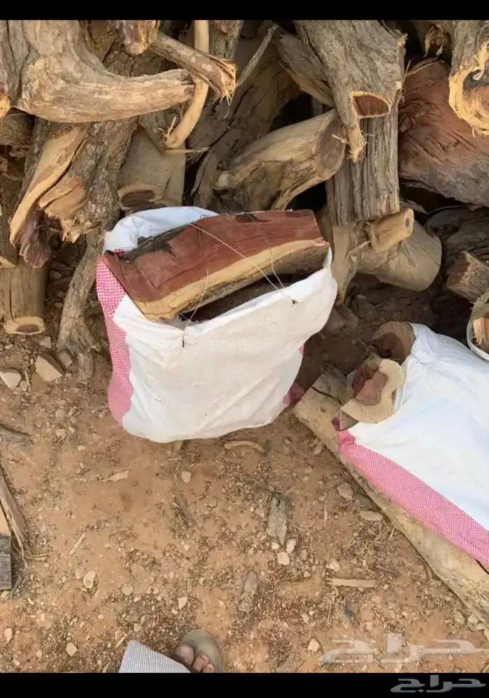 حطب مستورد حطب اصلي ويابس 11