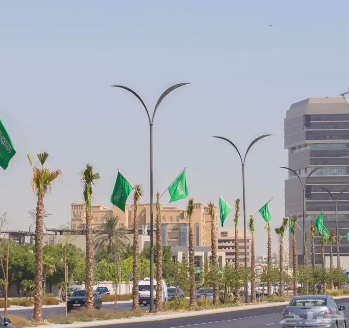 احدث موديلات أعمده الاناره الديكوريه بسعر خاص 8