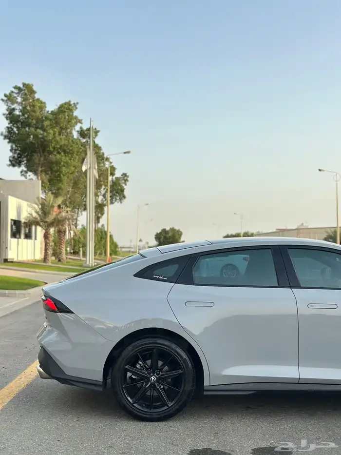 شانجان يوني في 2024 8