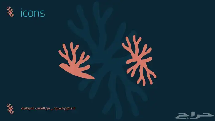 مصمم جرافيك 5