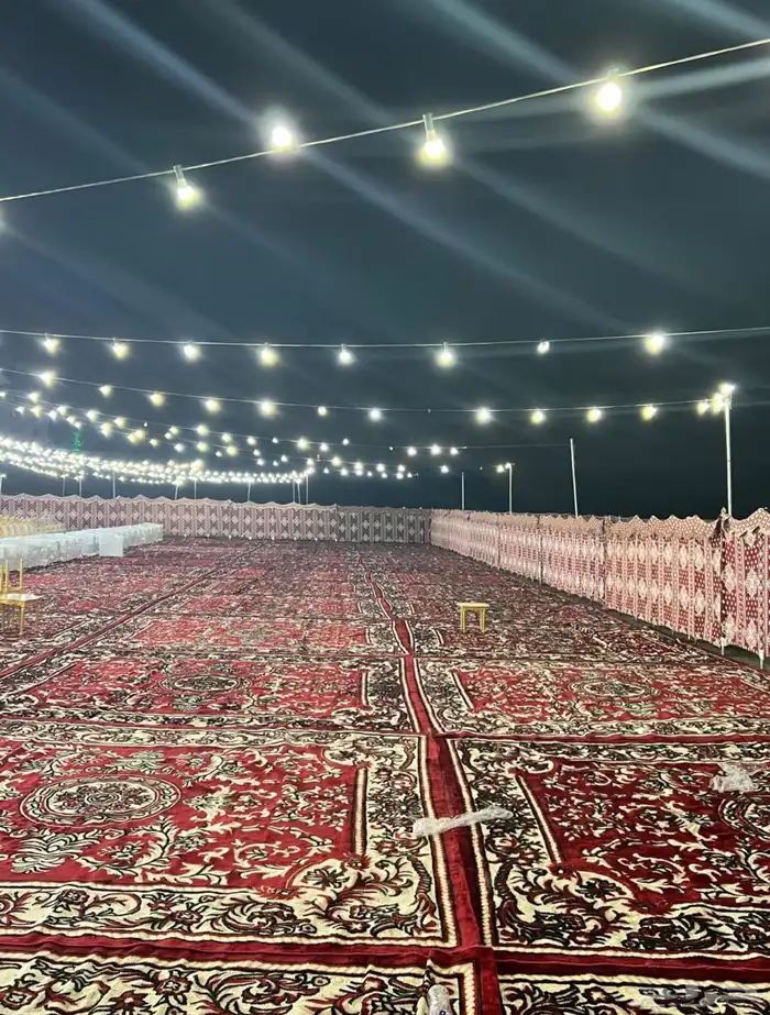 تاجير عقود لمبات 2