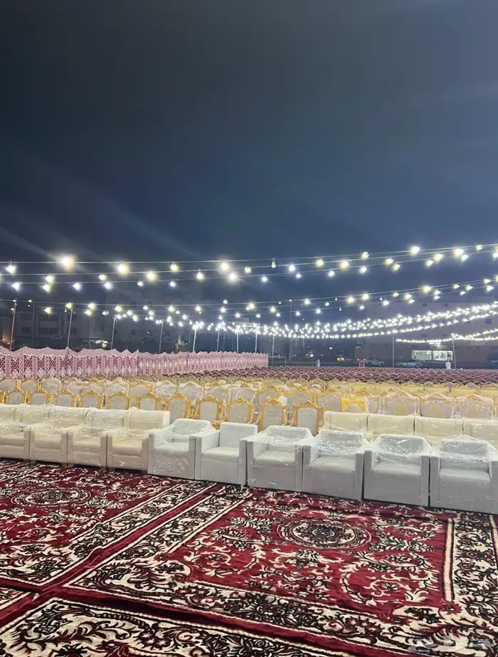 تاجير عقود لمبات 4