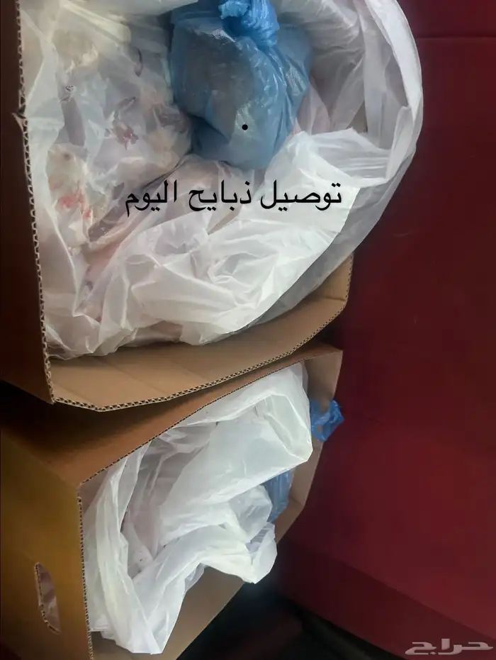 سواكن مرابي شعير وبرسيم فقط شبيه الحري 11