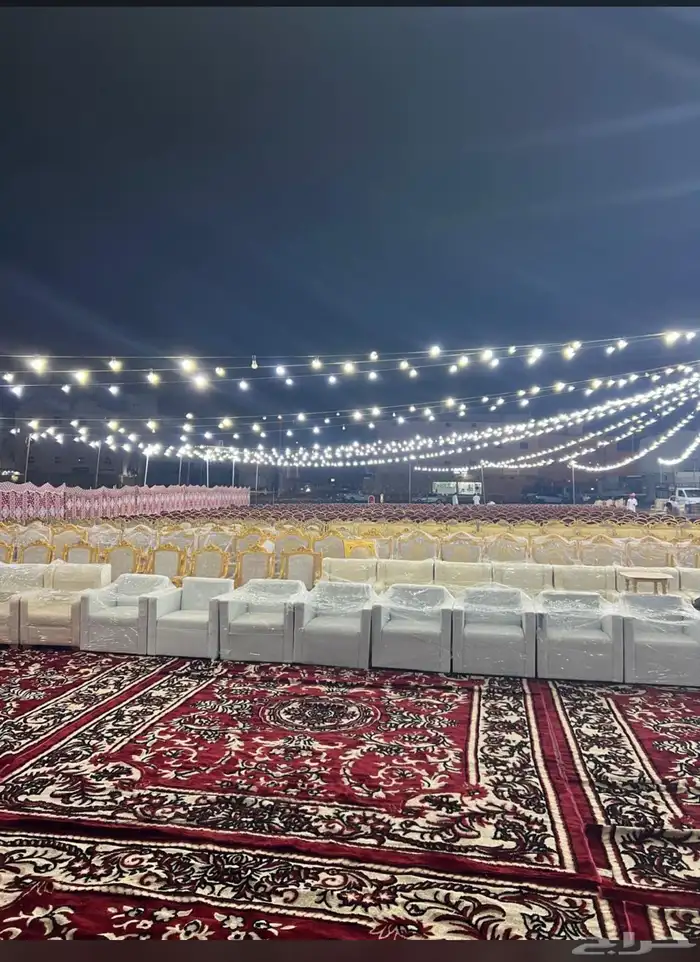 تاجير عقود لمبات 5