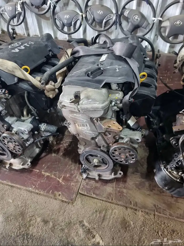 مندوب تشاليح 0