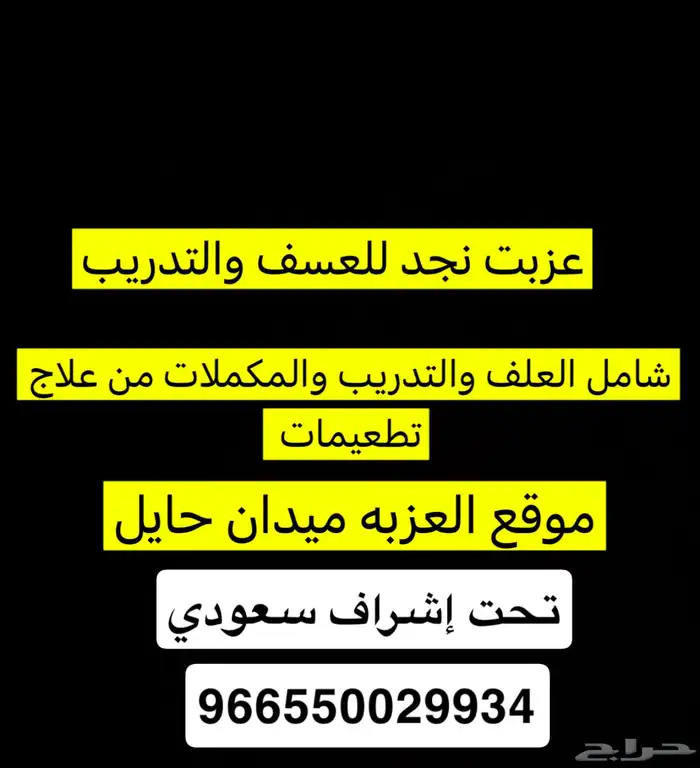 تدريب هجن 0