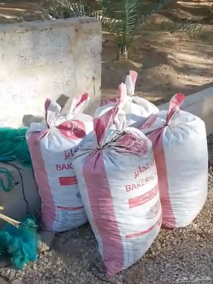 للبيع تمر علف 0