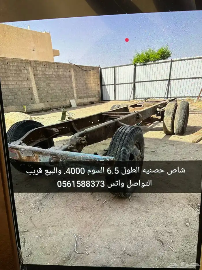 قلص حصنيه 0