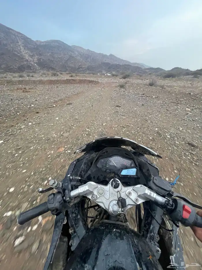 دباب ريس 350cc شكمنين ادباب على اشرط 2