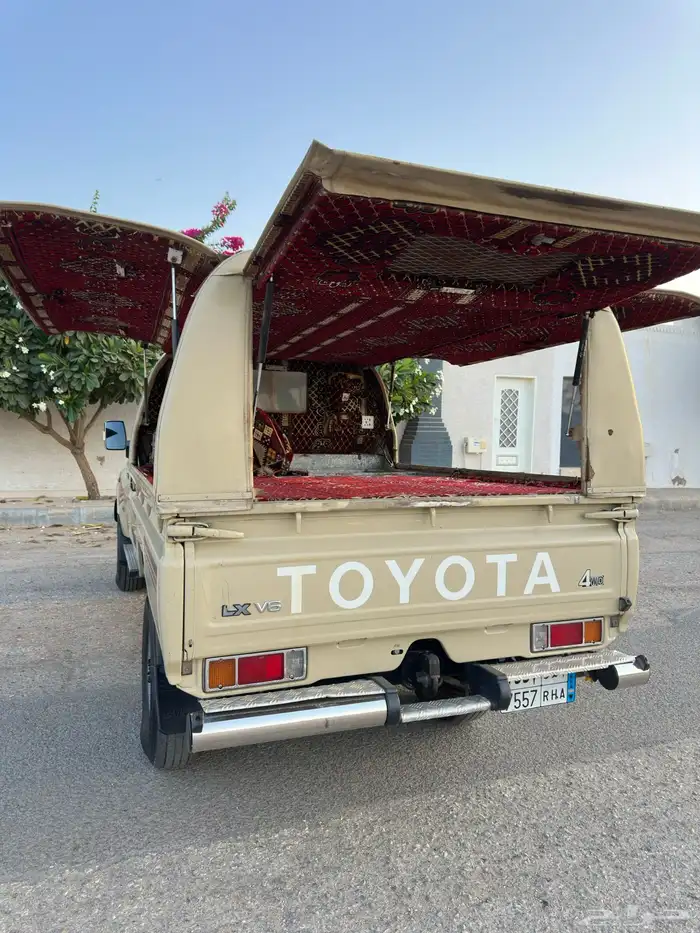 شاص 2013 3