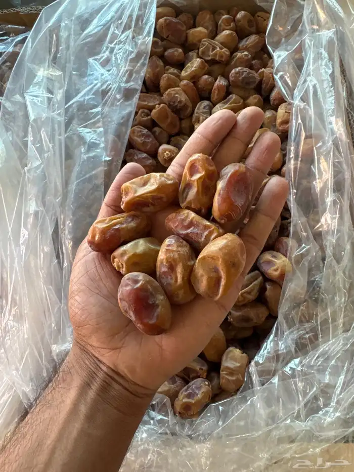 تمر خلاص ممتاز 1