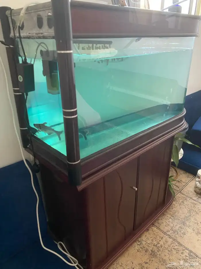 حوض سمك للبيع 0