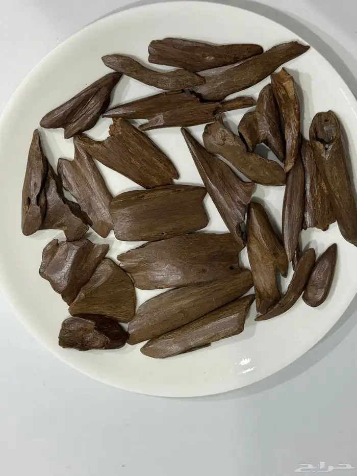 عود مروكي اصقون قديم 1