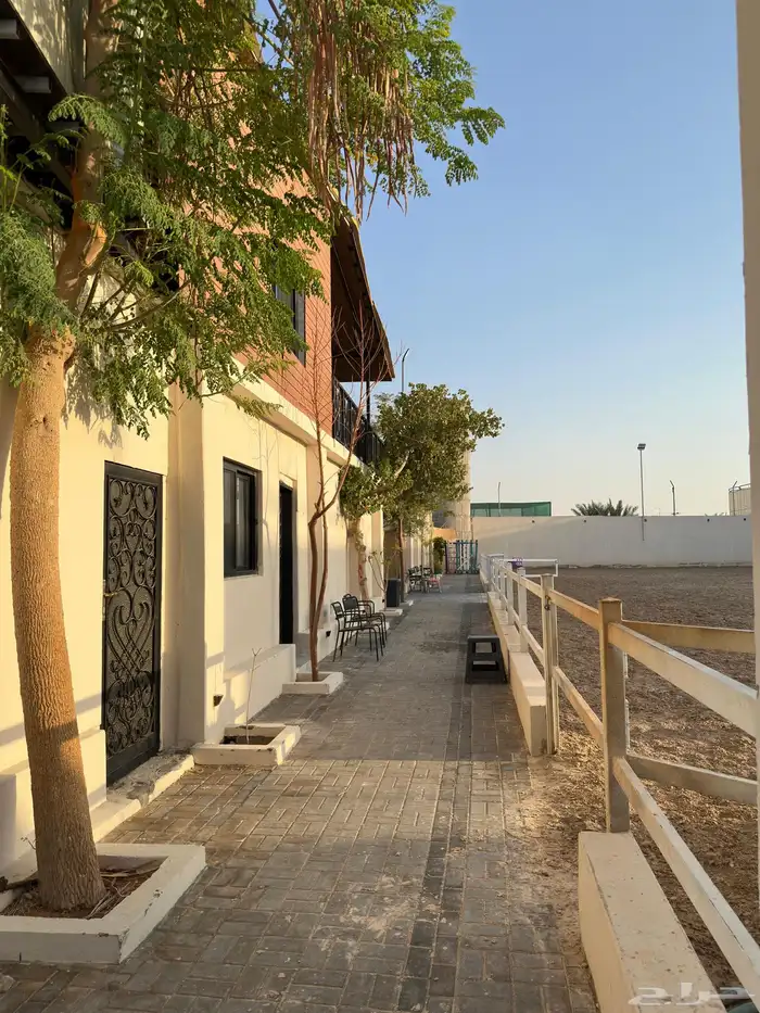 اسطبل خيل للايجار في العمارية 6