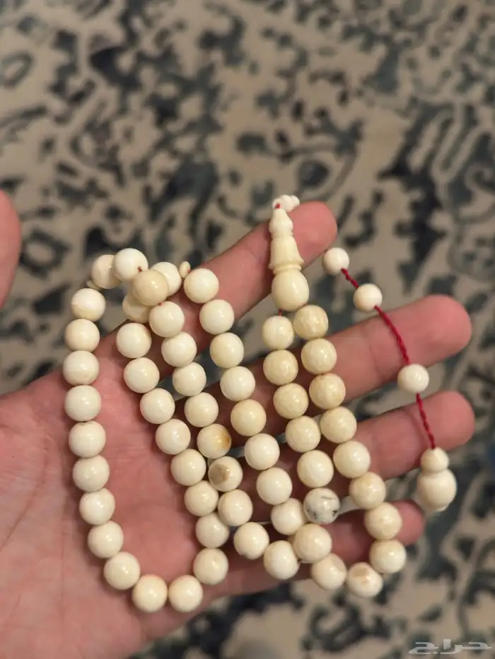 سبح نوادر ماموث وفقمه و شرنبول 0