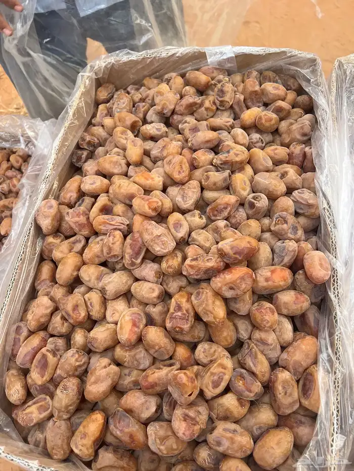 تمر اخلاص 400 كرتون 12