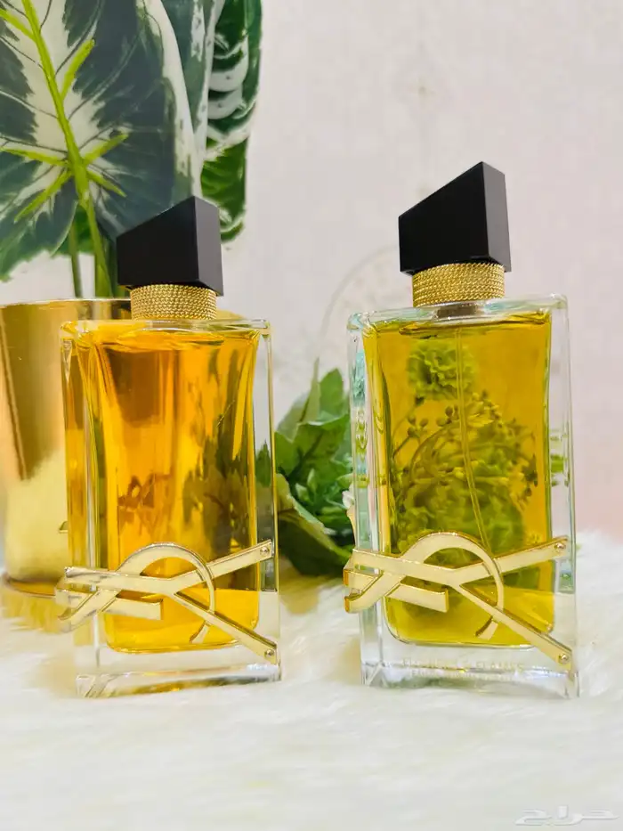 عطورات تستر بأسعار مميزة - جودة عاليه جدا 24