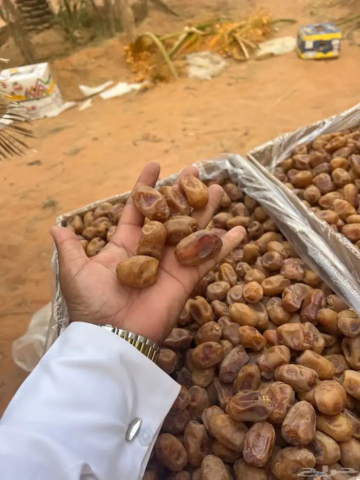تمر اخلاص 400 كرتون 1