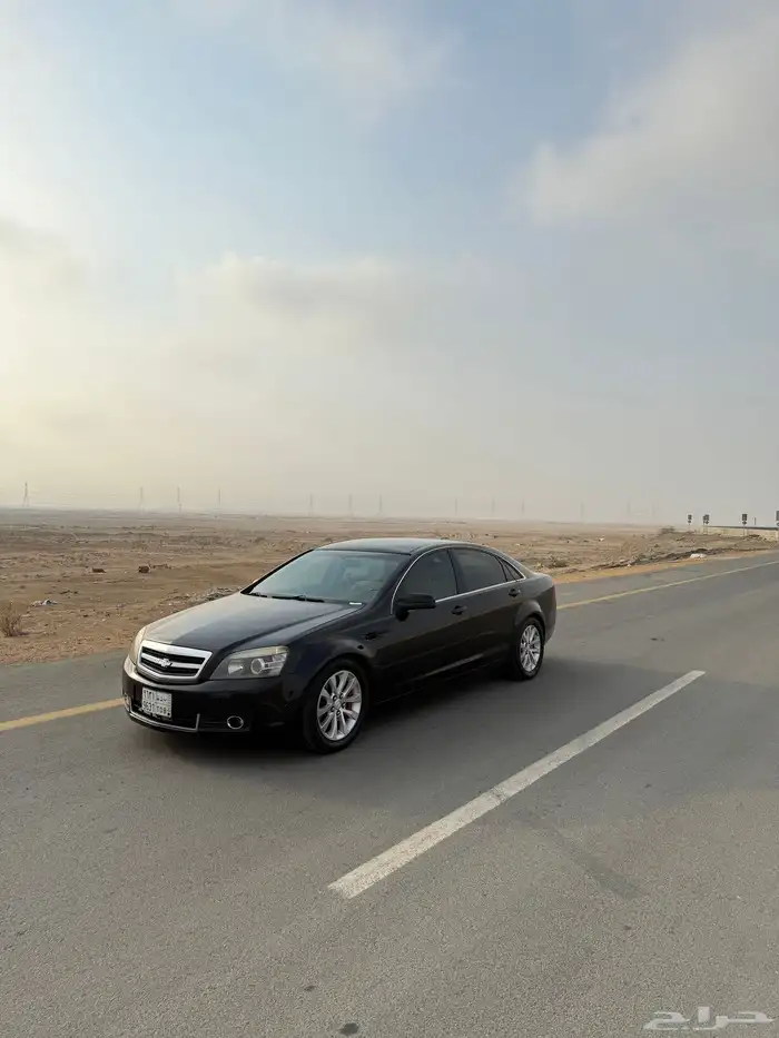 كابرس 2011 1