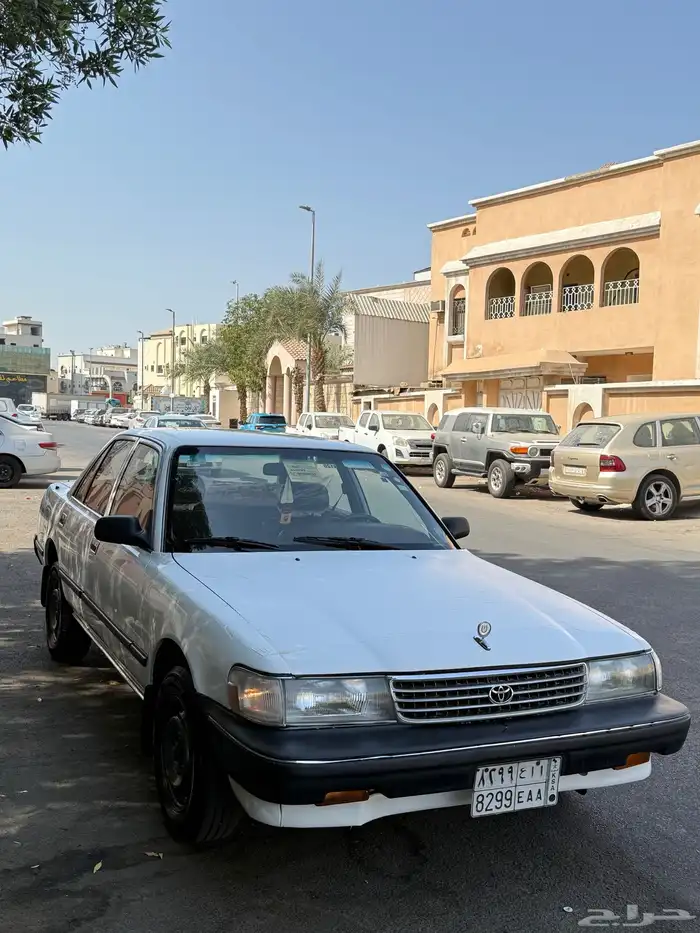 كرسيدا نظيفه 1991 2