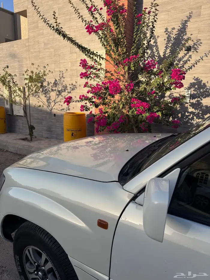 جيب لكزس 2002 5