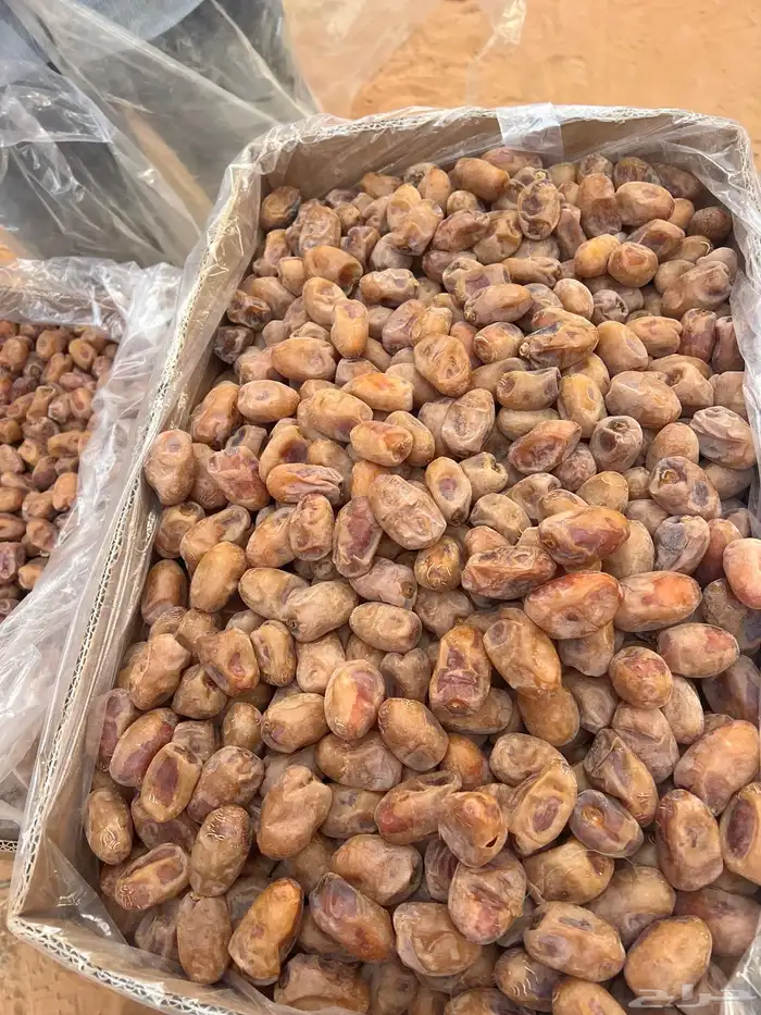 تمر اخلاص 400 كرتون 11