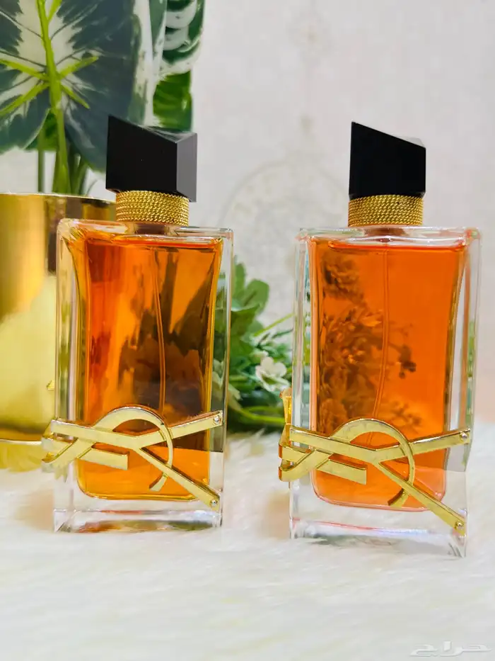 عطورات تستر بأسعار مميزة - جودة عاليه جدا 25