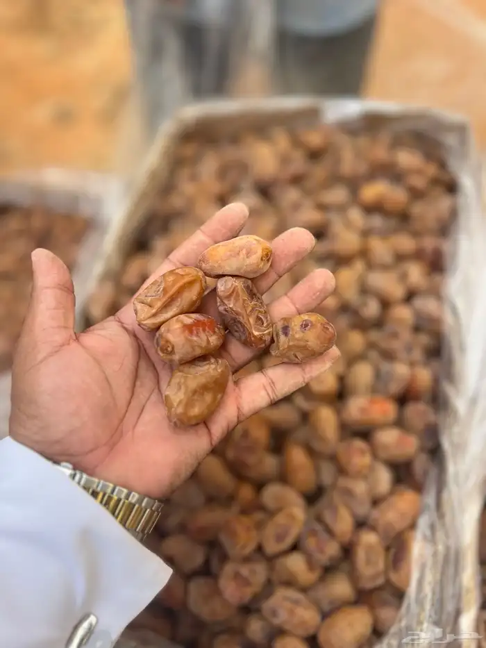 تمر اخلاص 400 كرتون 9