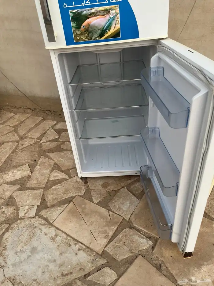 ثلاجة دانسات 2