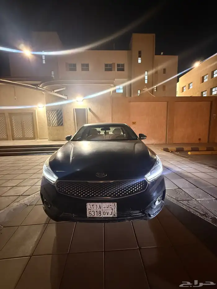 كادينزا 2017 8