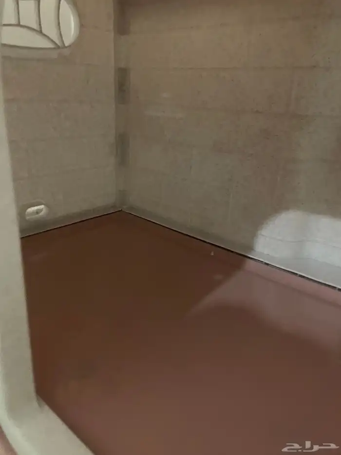 مستلزمات قطط 2
