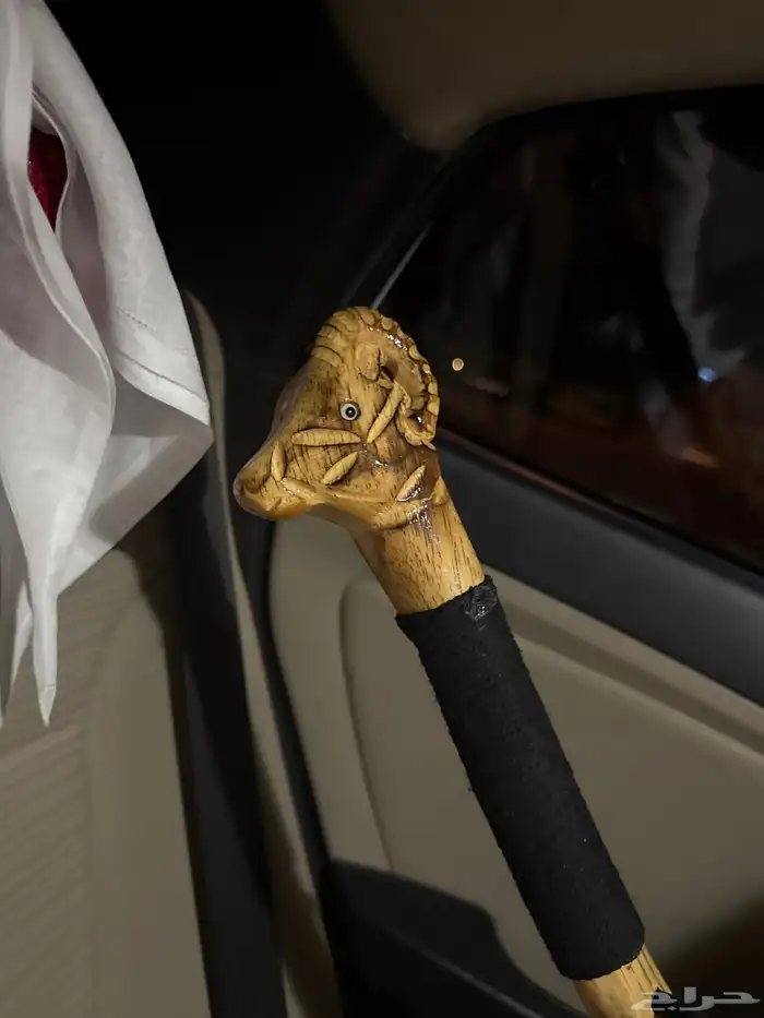 عصا من معرض الطيور 0